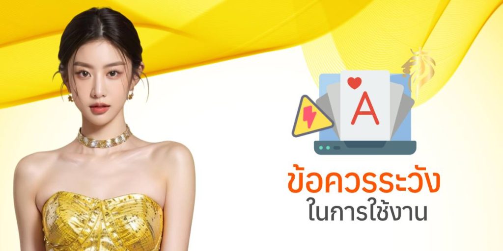 ข้อควรระวังในการใช้งาน ข้อควรระวังในการใช้งาน